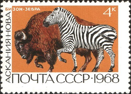 Біосферний заповідник "Асканія-Нова" ім. Ф. Е. Фальц-Фейна — фото