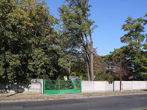 Ботанічний сад Черкаського національного університету ім. Богдана Хмельницького — фото