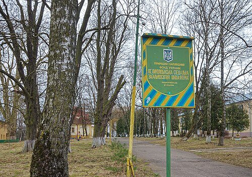 Парк XIX ст. (Парк Великолюбінської спеціалізованої загальноосвітньої школи-інтернату)