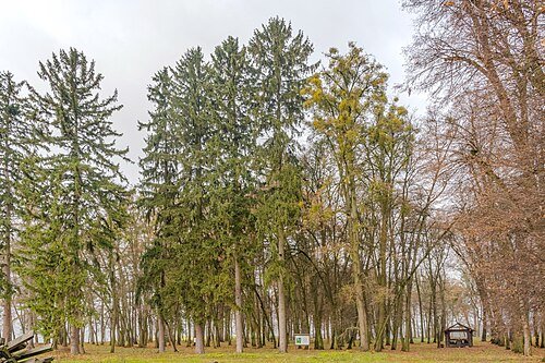 Літинський