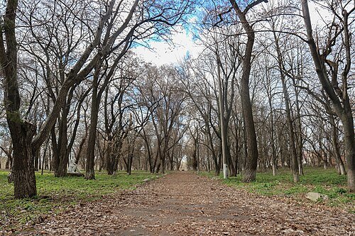 Міський парк культури і відпочинку «Молодіжний» — фото