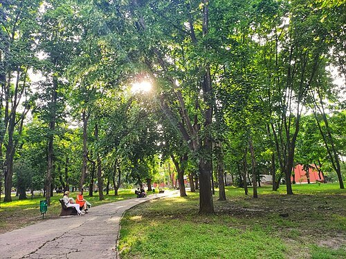 Центральний парк культури та відпочинку імені Тараса Шевченка — фото