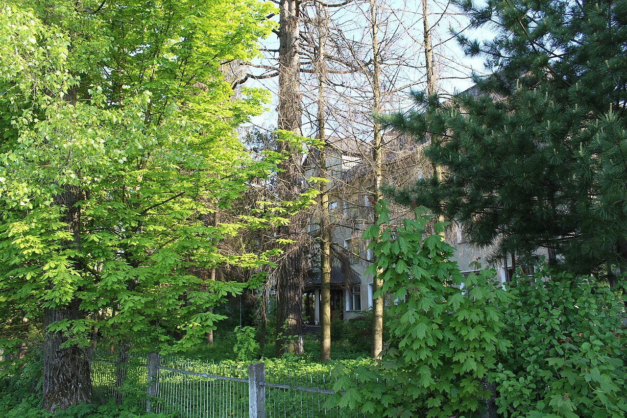 Клинівський парк