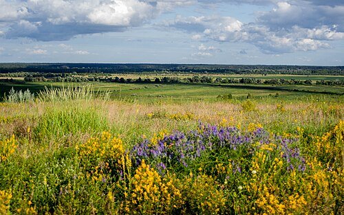 Регіональний ландшафтний парк «Сеймський» — фото