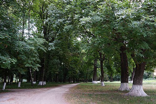 Маківський парк