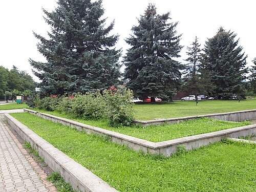 Арборетум в дворі райвиконкому