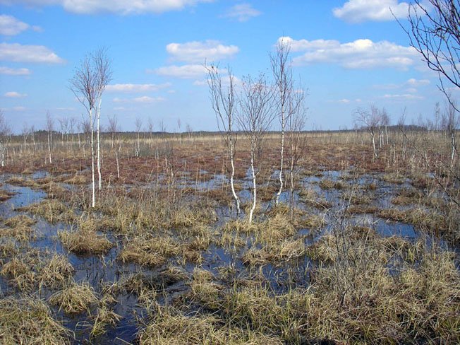Черемський природний заповідник