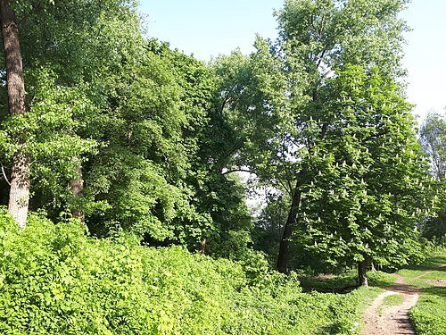 Огнівщина (парк)