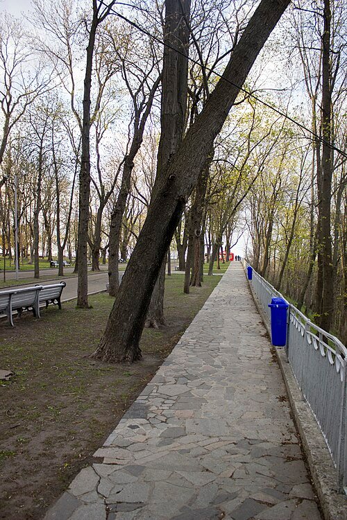Володимирська гірка — фото