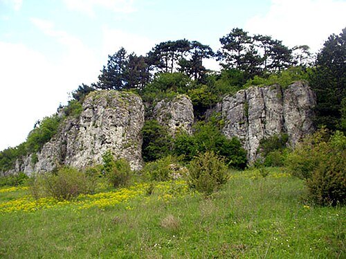 Природний заповідник «Медобори»