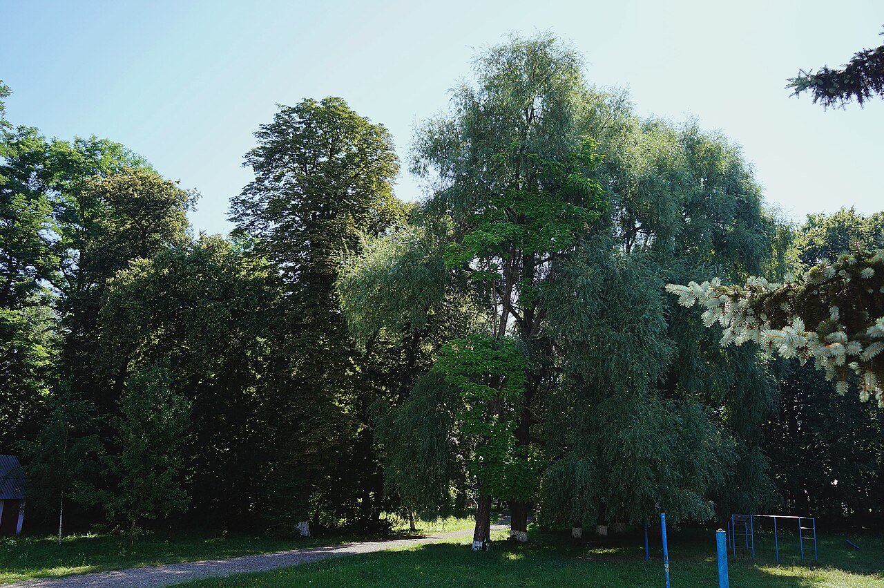 Карапчівський парк