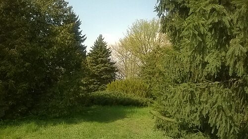 Ботанічний сад Черкаського національного університету ім. Богдана Хмельницького — фото