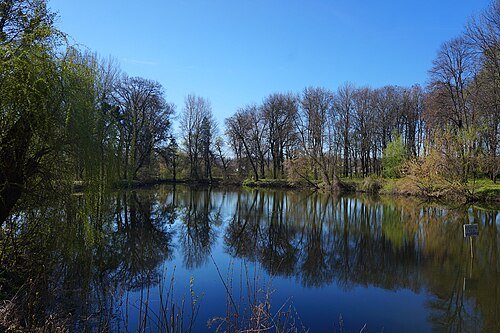 Браїлівський парк — фото