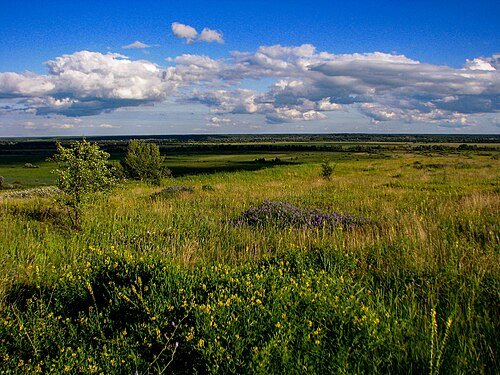 Регіональний ландшафтний парк «Сеймський» — фото