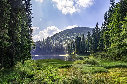 Національний природний парк «Синевир»