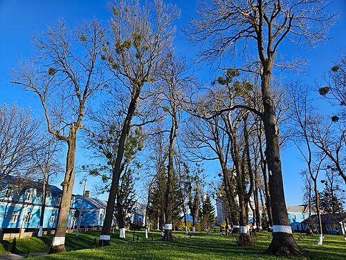 Городоцький парк — фото
