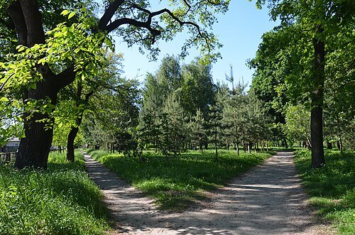 Графський парк — фото