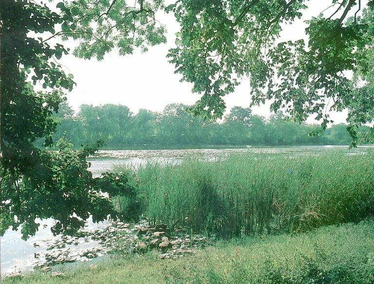 Полонський парк