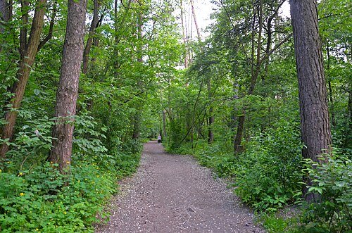 Зелена Брама (парк-пам'ятка садово-паркового мистецтва)