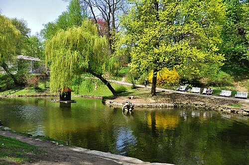 Стрийський парк — фото