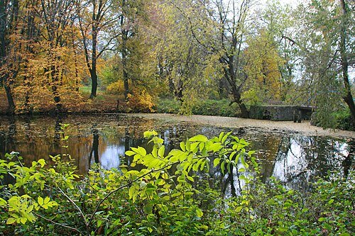 Полонський парк — фото