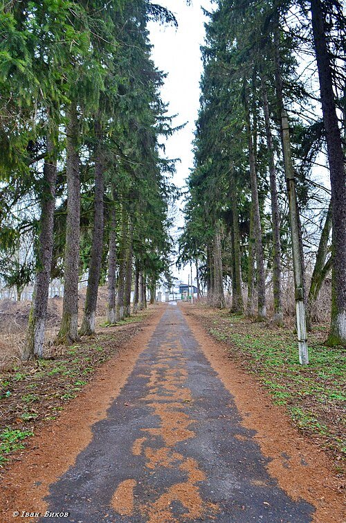 Тиницький парк