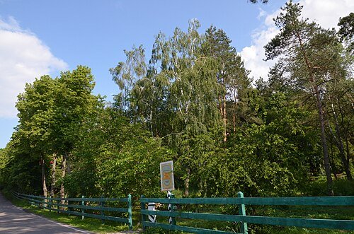 Жорнівський парк