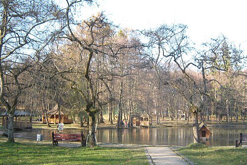 Парк санаторію «Карпати» — фото