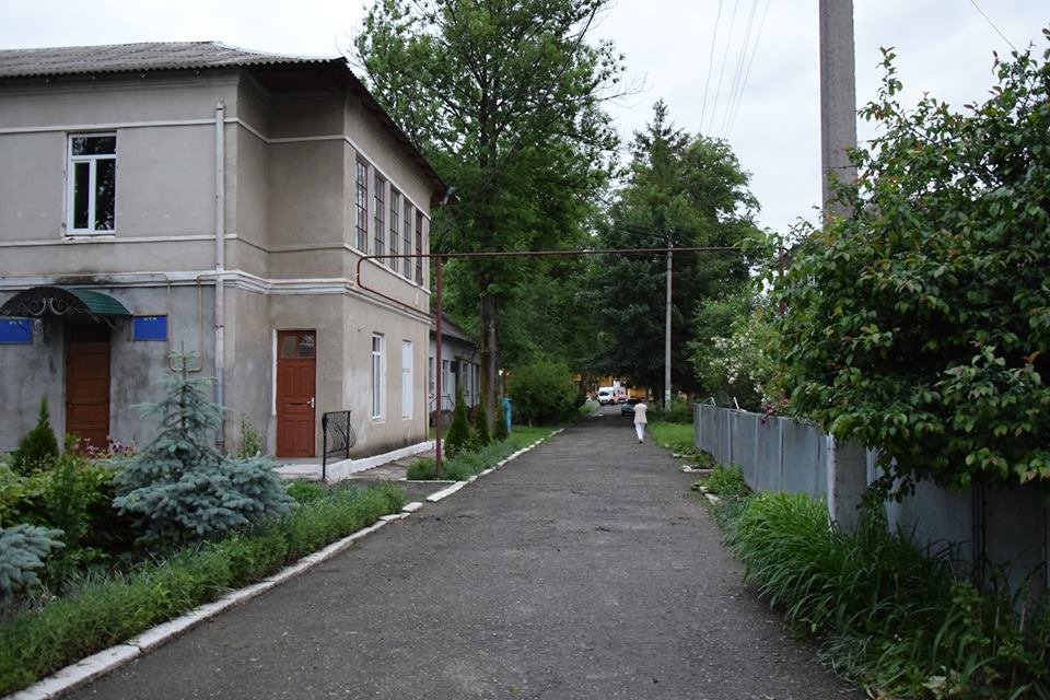 Вижницький парк