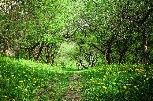 Парк «Заріччя»