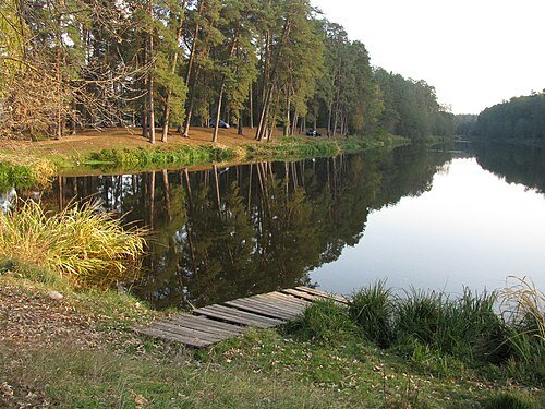 Пуща-Водицький лісопарк