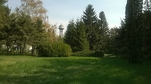 Ботанічний сад Черкаського національного університету ім. Богдана Хмельницького — фото