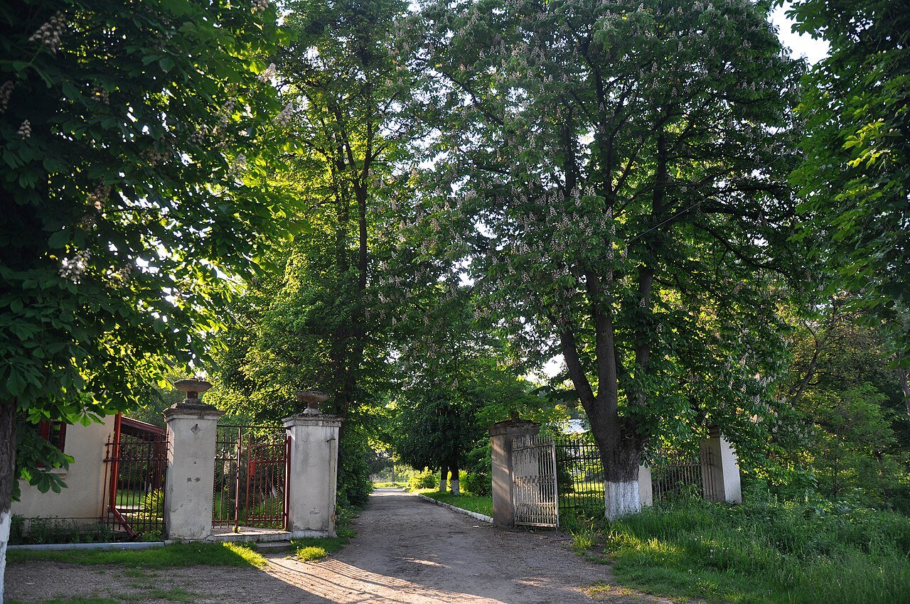 Верхньобілківський парк