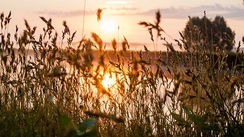 Мезинський національний природний парк — фото