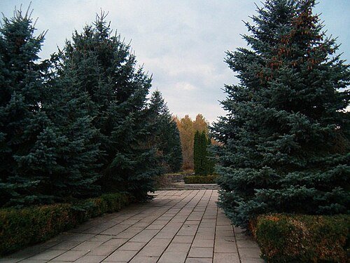 Березнівський державний дендрологічний парк — фото