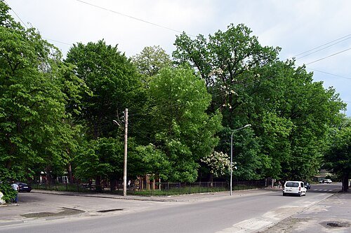 Дрогобицький міський парк культури та відпочинку