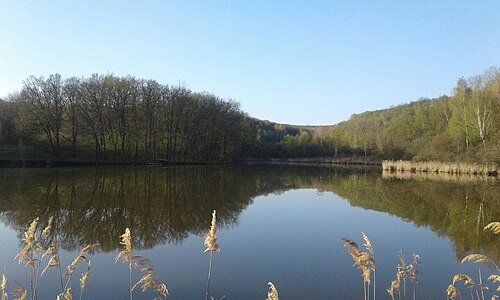 Регіональний ландшафтний парк «Великобурлуцький степ» — фото