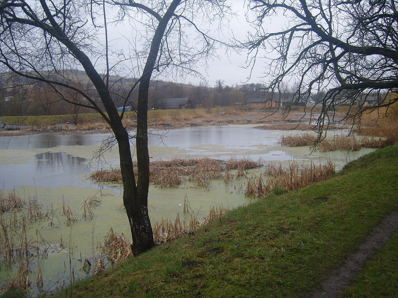Брусницький парк