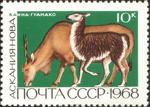Біосферний заповідник "Асканія-Нова" ім. Ф. Е. Фальц-Фейна — фото