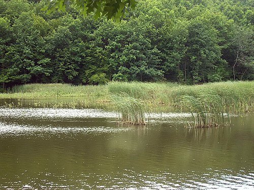Національний природний парк «Зачарований край»