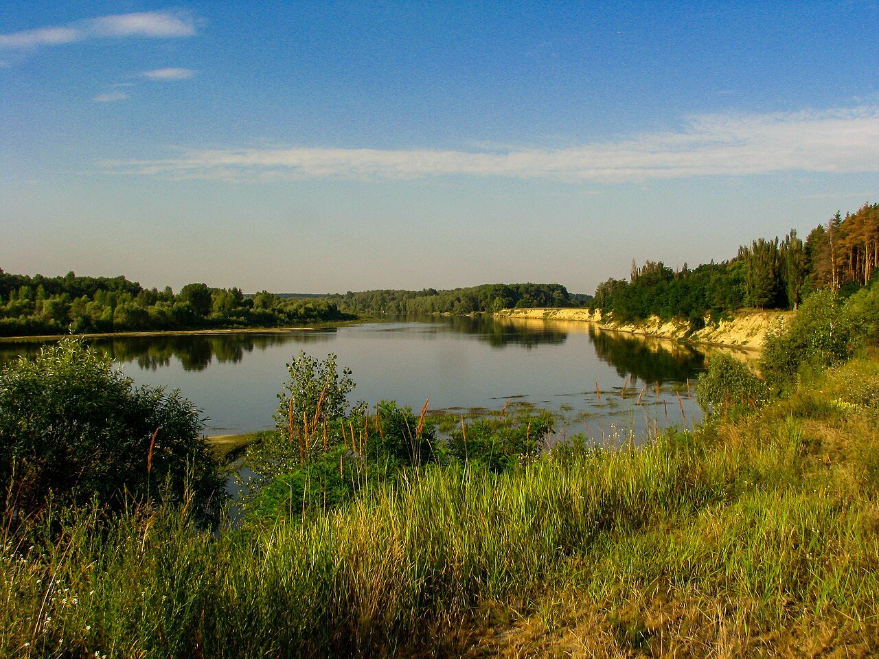 Регіональний ландшафтний парк «Міжрічинський»