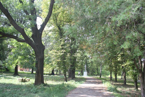 Селезнівський парк