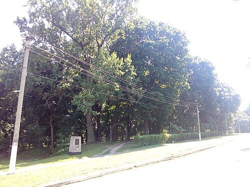 Парк