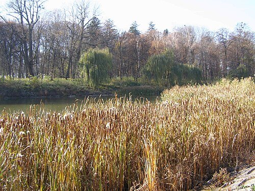 Рахнянський парк — фото