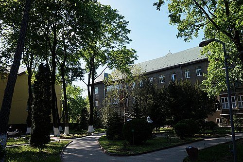 Палісадник обласної лікарні