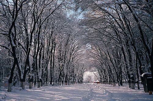Боздоський — фото