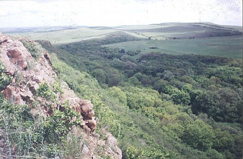 Луганський природний заповідник НАН України