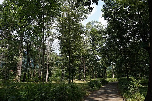 Парк культури і відпочинку (Парк Перені)