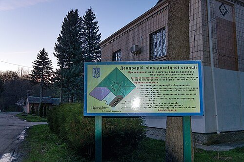 Дендрарій лісово-дослідної станції — фото