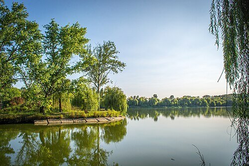Онуфріївський дендропарк